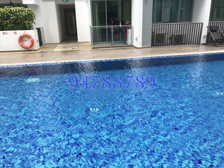 Natura@Hillview (D23), Apartment #148839132